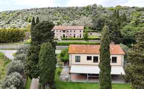 Willkommen im La Dogana